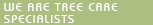 We are tree care specialists