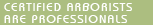 Certified Arborists are experienced professionals